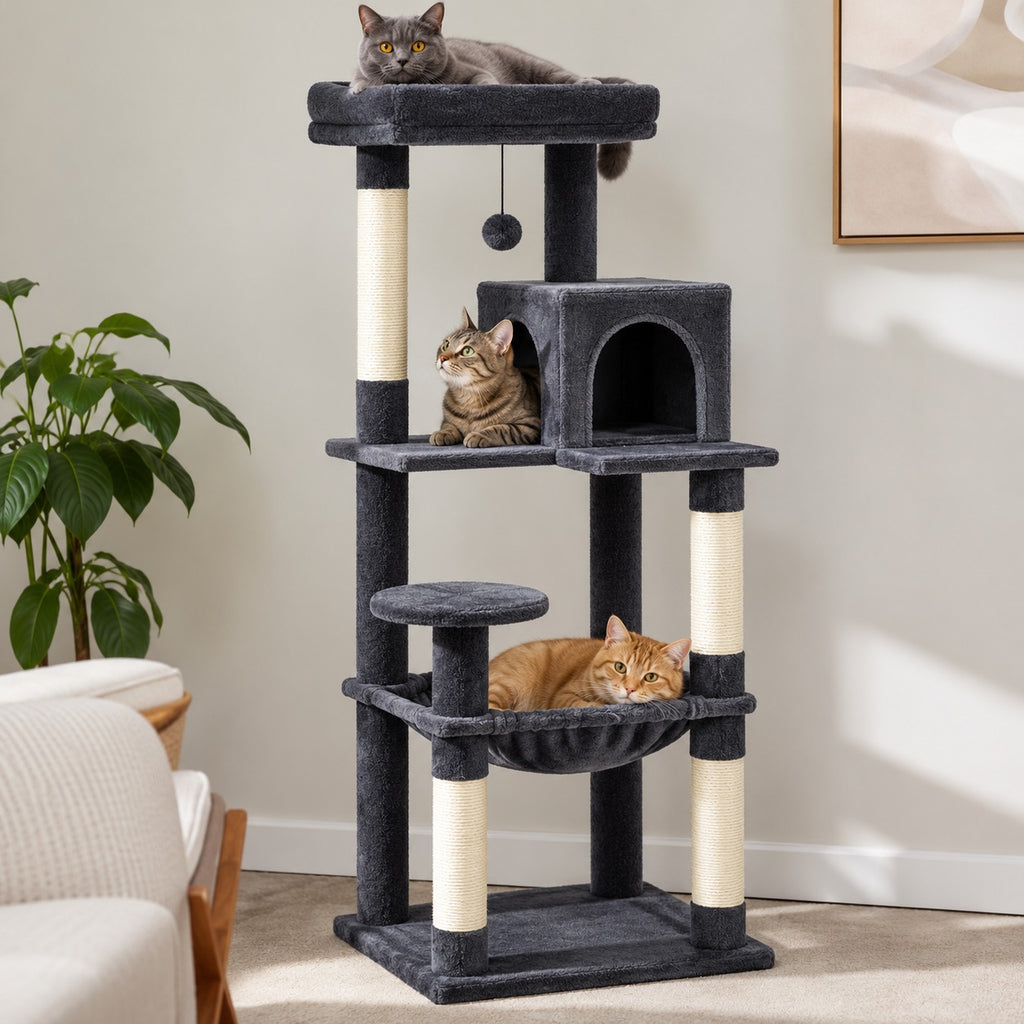 Arbre à chat gris foncé dans un salon