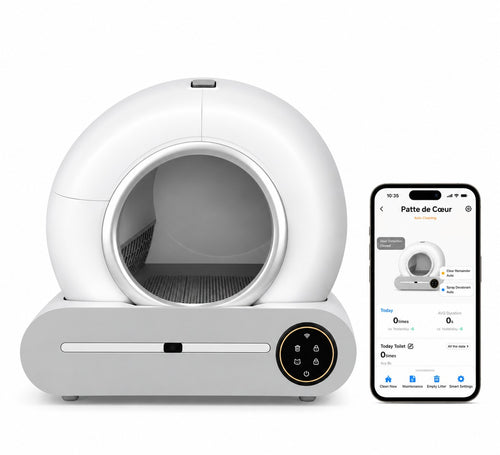 Litière automatique L'Essentielle vue de face, à côté de son application