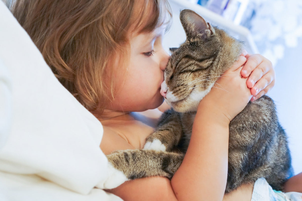 Un enfant fait un bisou sur la tête de son chat tigré, blotti dans ses bras