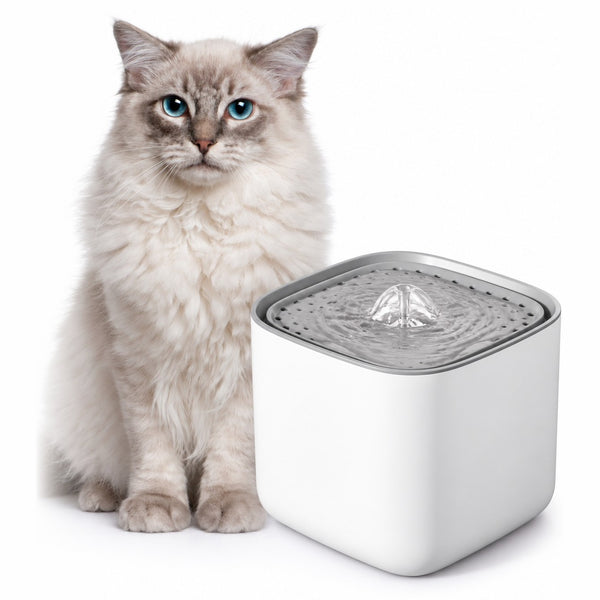 Fontaine à eau Onde blanche et carrée à côté d'un chat aux yeux bleus
