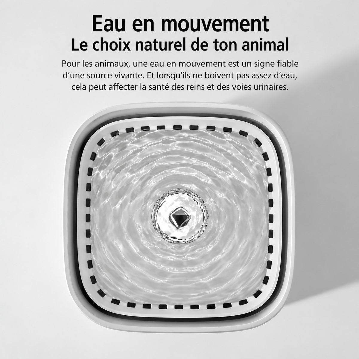 Fontaine Onde vue de dessus : eau en mouvement, le choix naturel de ton chat
