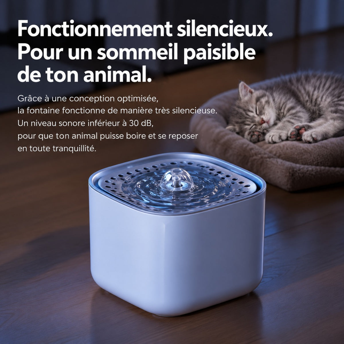 Fontaine Onde silencieuse à côté d'un chaton endormi