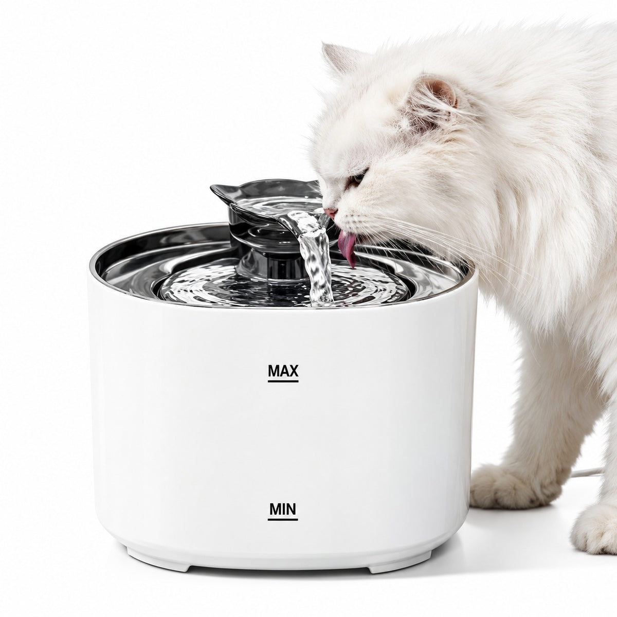 Chat blanc qui boit à la fontaine à eau Ronron blanche