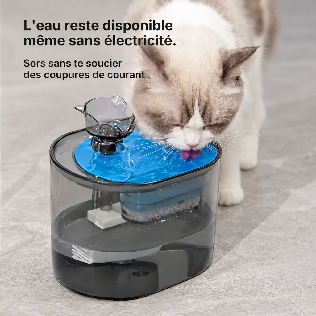 L'eau reste disponible dans la fontaine Ronron même en cas de coupure de courant