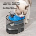 L'eau reste disponible dans la fontaine Ronron même en cas de coupure de courant
